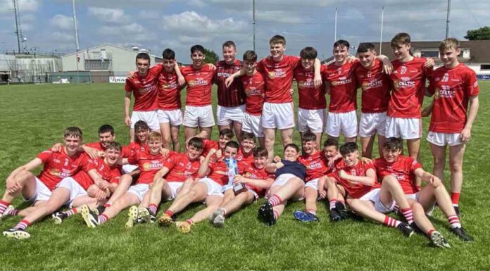 u-17s-strike-major-blow-for-louth-hurling-with-celtic-challenge-victory